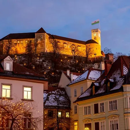 招待所 维拉之屋酒店 卢布尔雅那