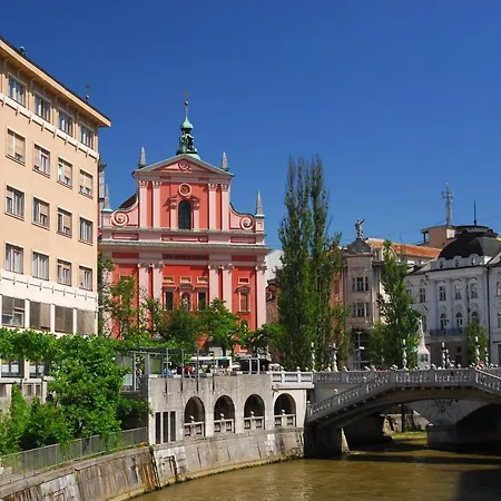 维拉之屋酒店 招待所