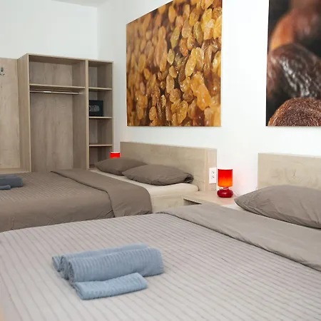 비바 룸 게스트하우스 3*