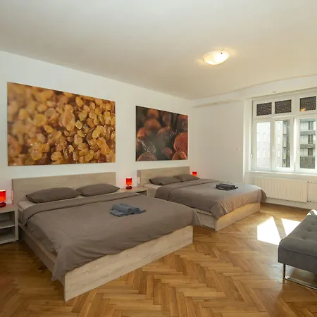 게스트하우스 비바 룸