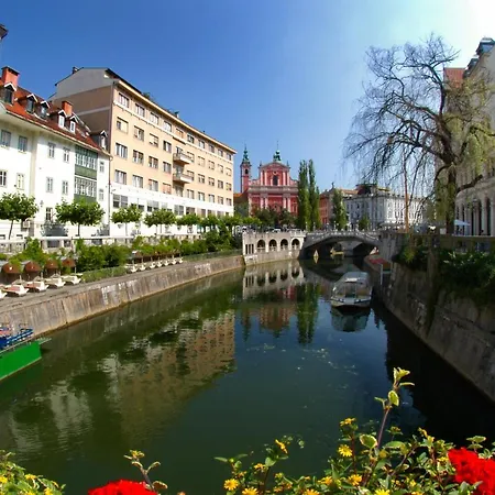 Гостевой дом Viva